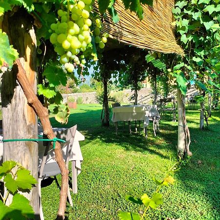 Badia Giulia Prestigious Historical B&B, Camaiore - Adults Only - No Pets Екстериор снимка